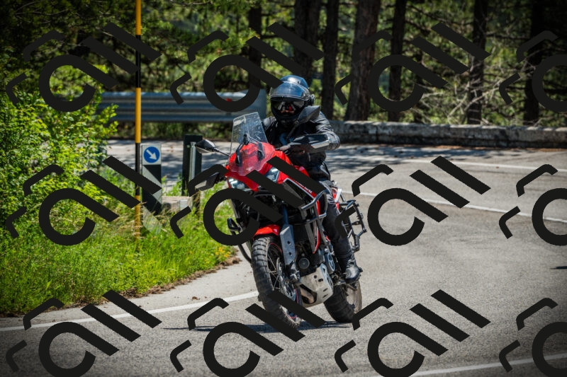 202506021201-DSC04214_c1_