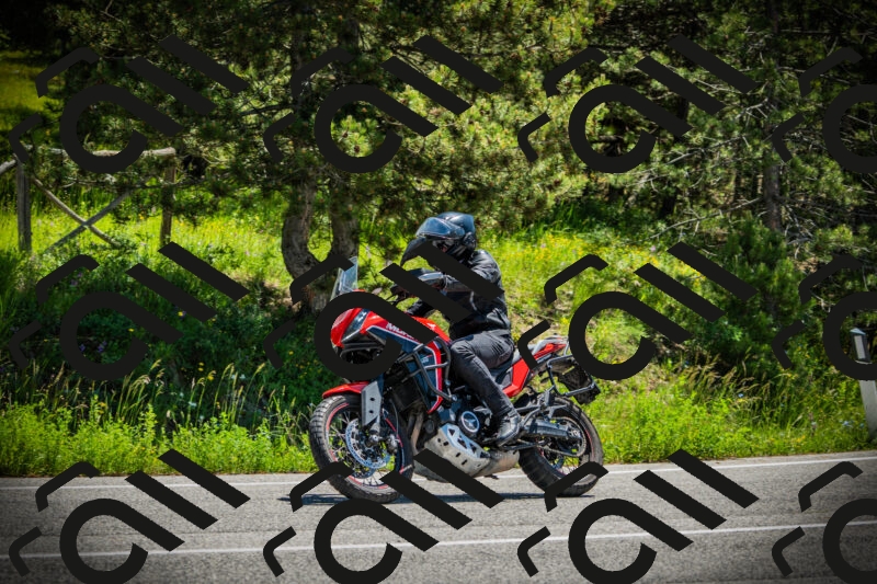 202506021201-DSC04215_c1_