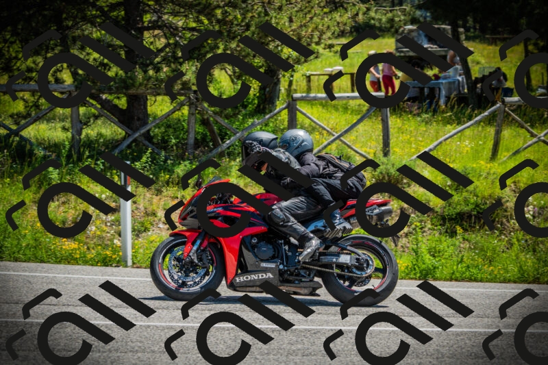 202506021201-DSC04217_c1_