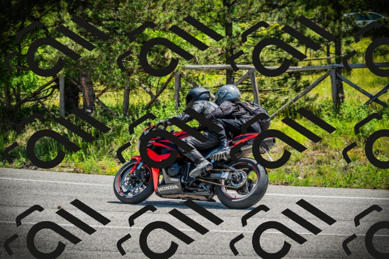 202506021201-DSC04218_c1_