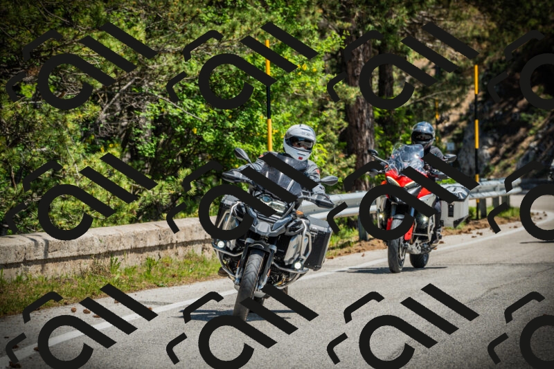 202506021202-DSC04220_c1_