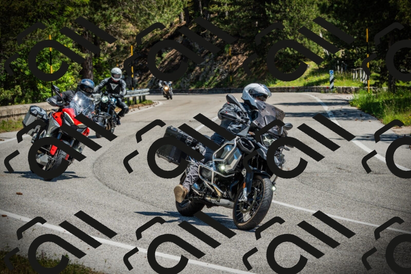 202506021202-DSC04222_c1_