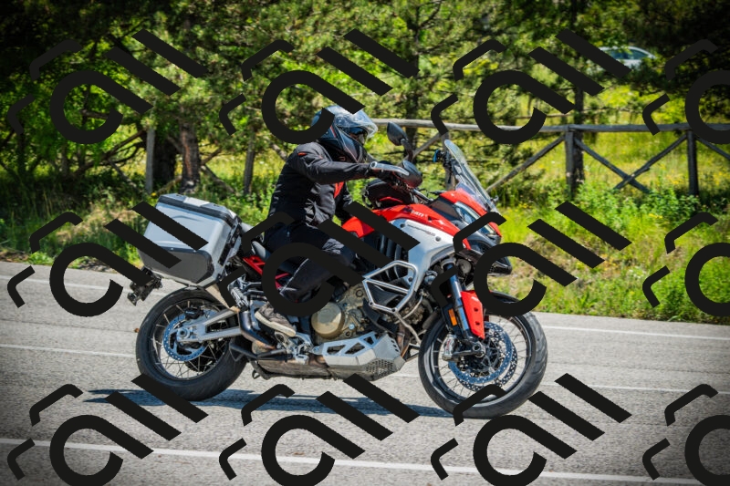 202506021202-DSC04224_c1_