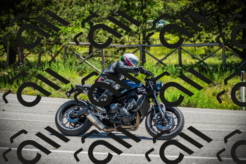 202506021202-DSC04225_c1_