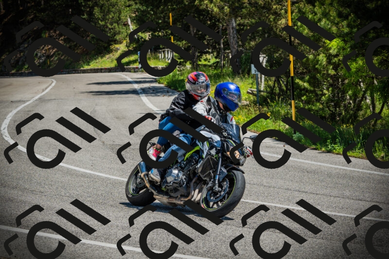 202506021202-DSC04228_c1_