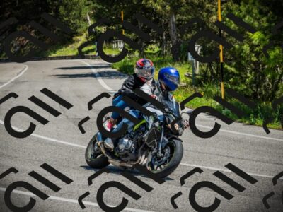 202506021202-DSC04228_c1_