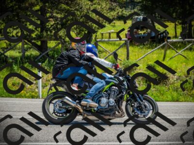 202506021202-DSC04229_c1_