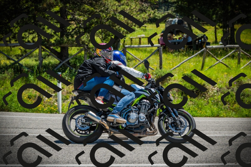 202506021202-DSC04229_c1_