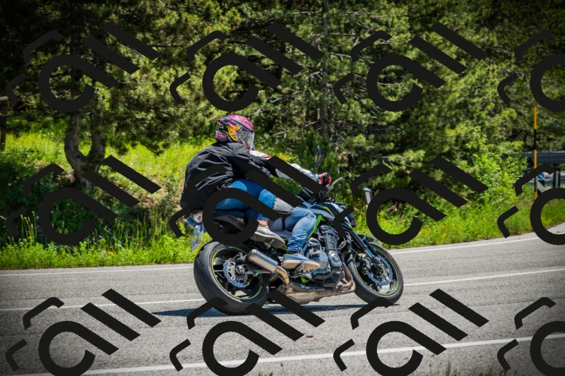 202506021202-DSC04230_c1_