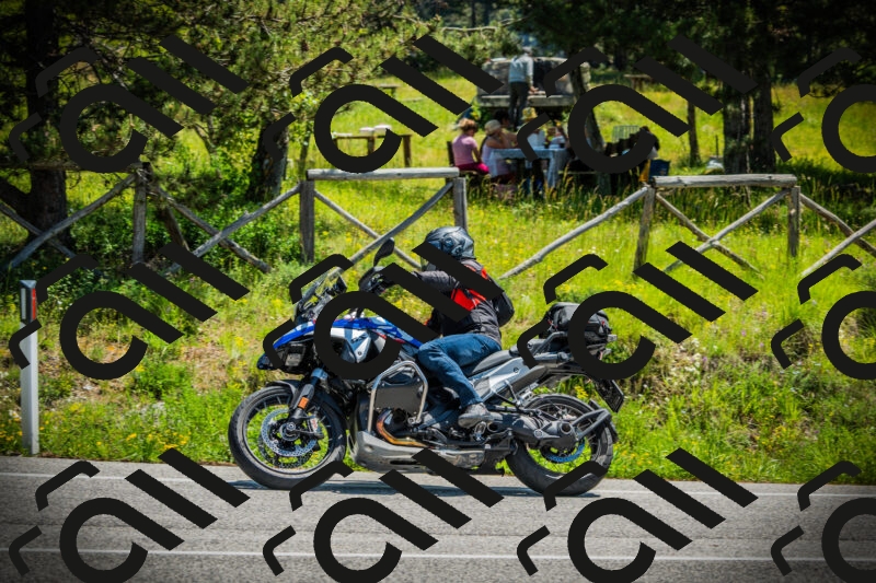 202506021203-DSC04235_c1_