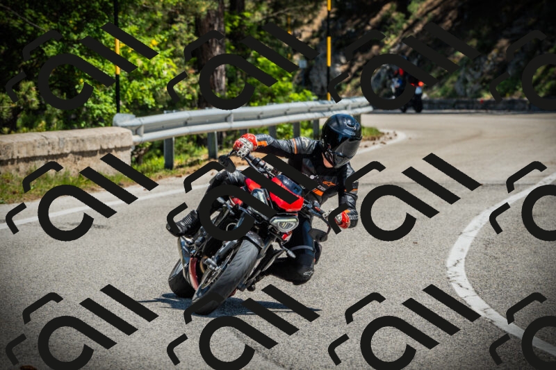 202506021203-DSC04238_c1_