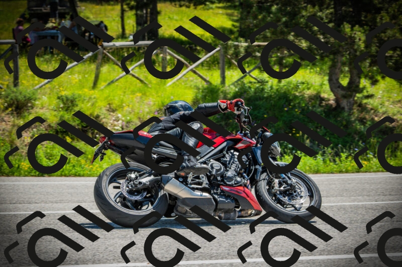 202506021203-DSC04240_c1_