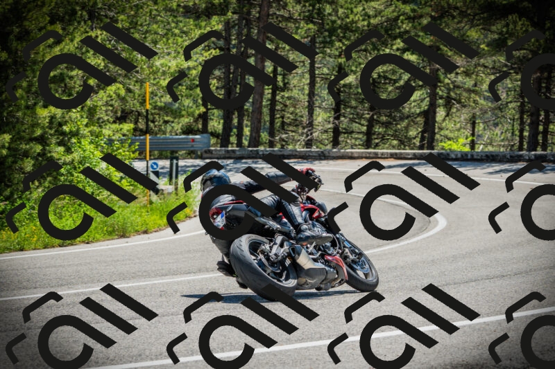 202506021203-DSC04241_c1_