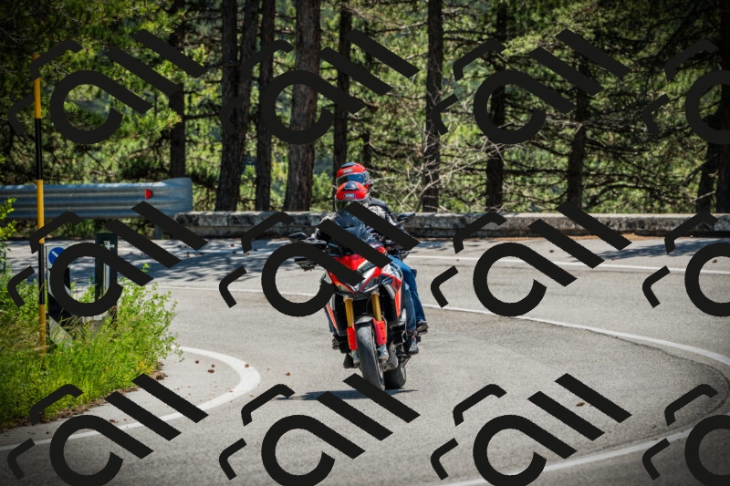 202506021204-DSC04250_c1_