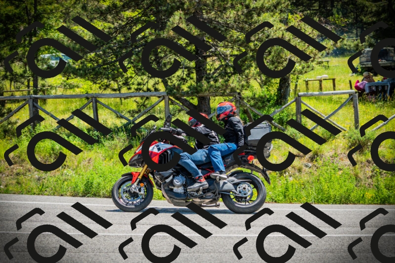 202506021204-DSC04253_c1_