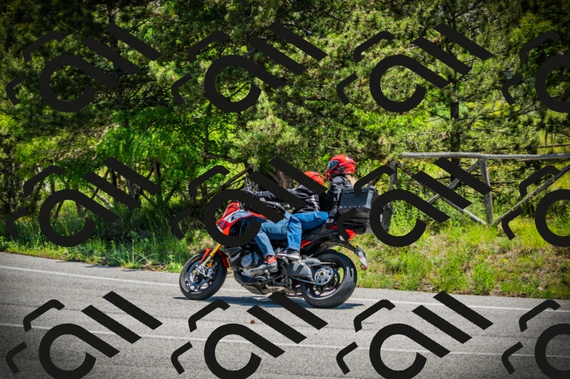 202506021204-DSC04254_c1_