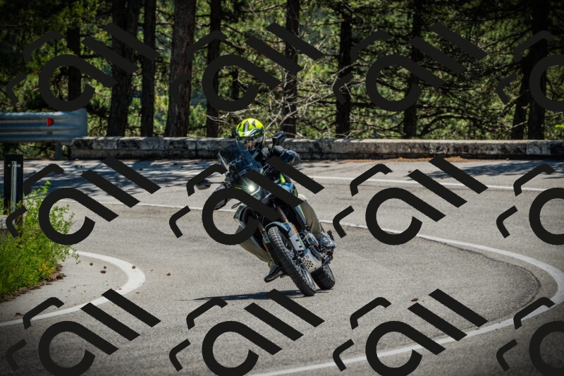 202506021205-DSC04256_c1_