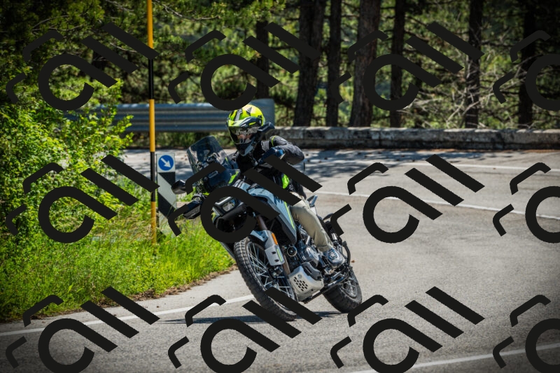 202506021205-DSC04257_c1_