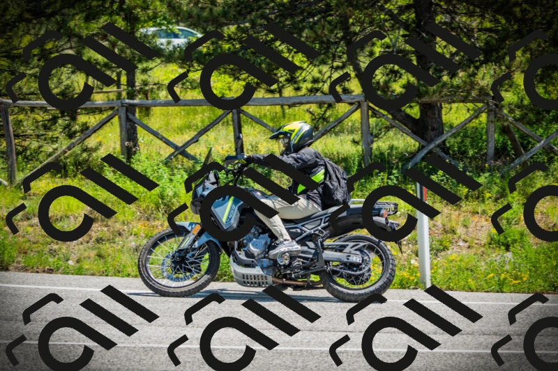 202506021205-DSC04259_c1_