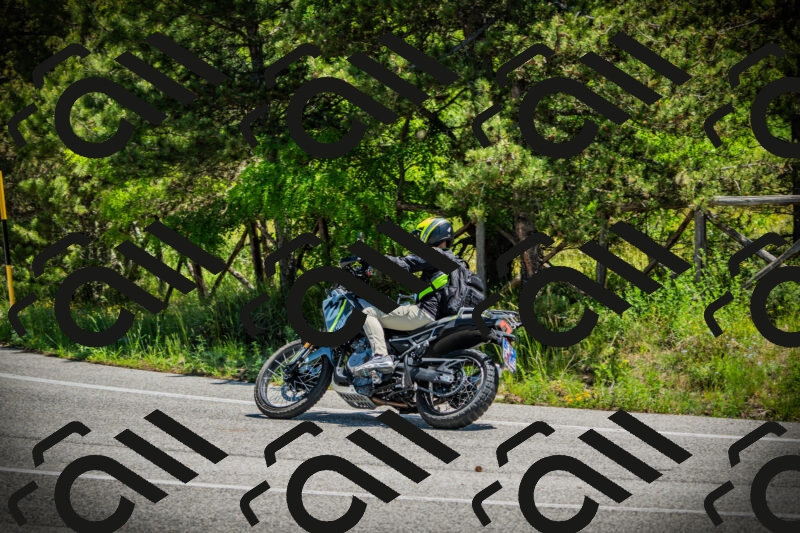 202506021205-DSC04260_c1_