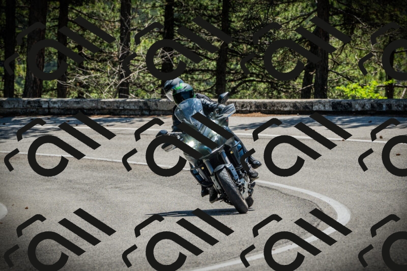 202506021205-DSC04262_c1_