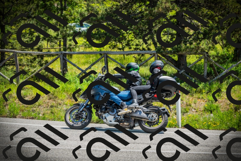 202506021205-DSC04265_c1_