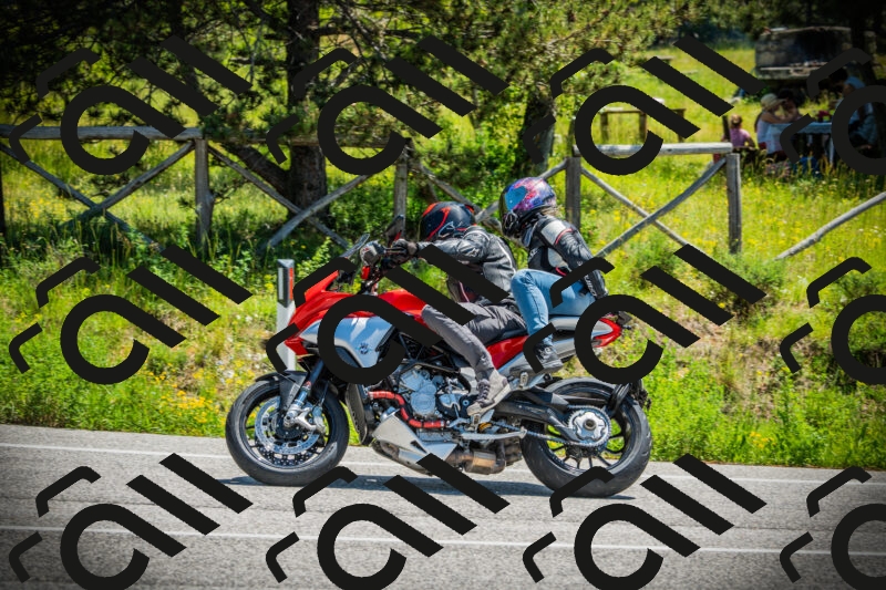 202506021206-DSC04274_c1_