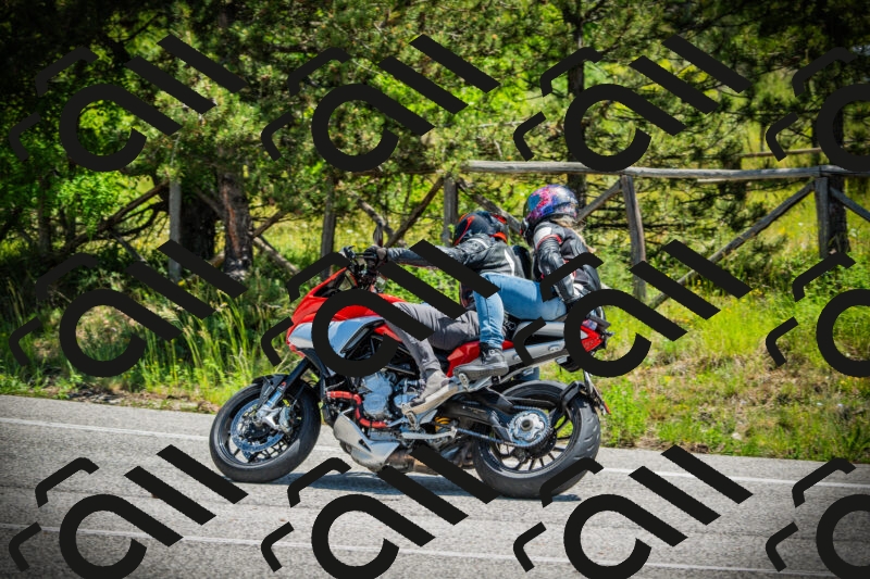 202506021206-DSC04275_c1_