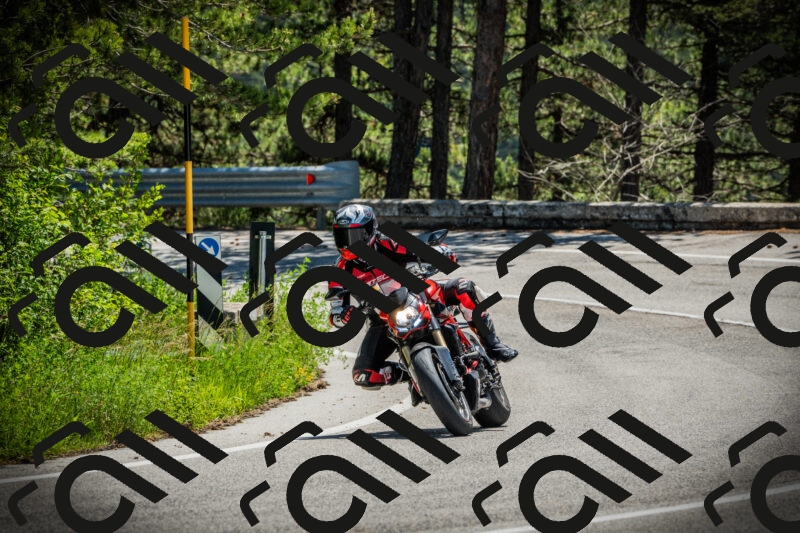 202506021206-DSC04276_c1_