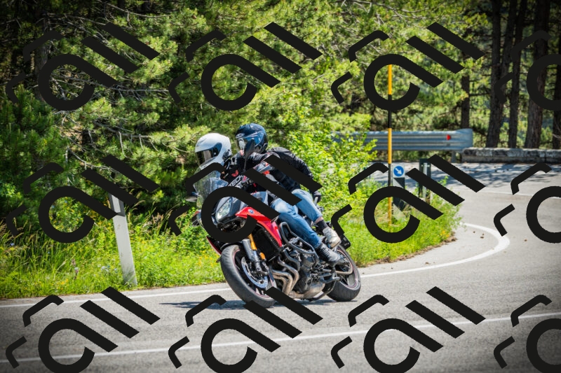 202506021206-DSC04281_c1_