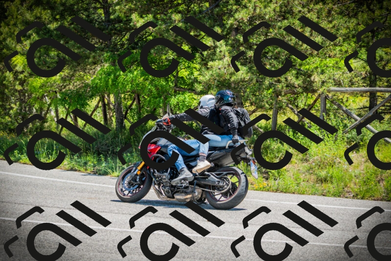 202506021206-DSC04283_c1_