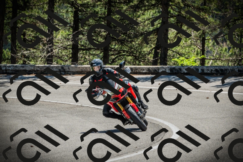 202506021207-DSC04285_c1_