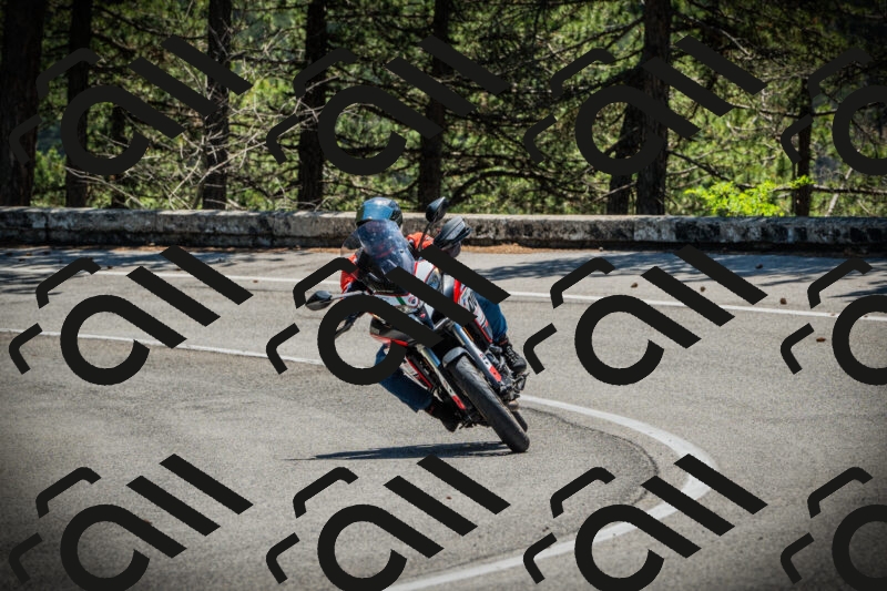 202506021207-DSC04290_c1_