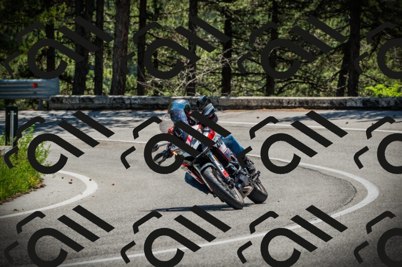 202506021207-DSC04291_c1_