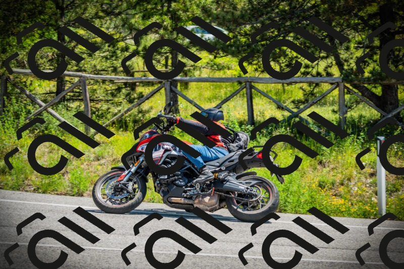 202506021207-DSC04293_c1_