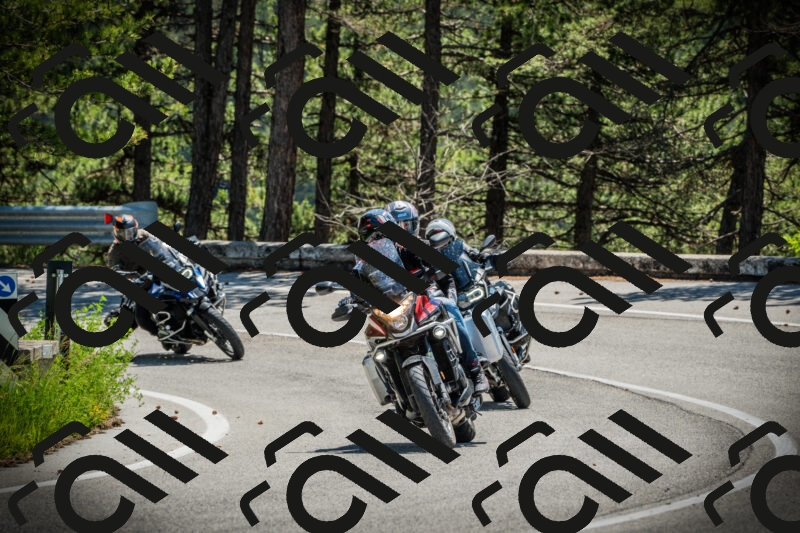 202506021207-DSC04295_c1_