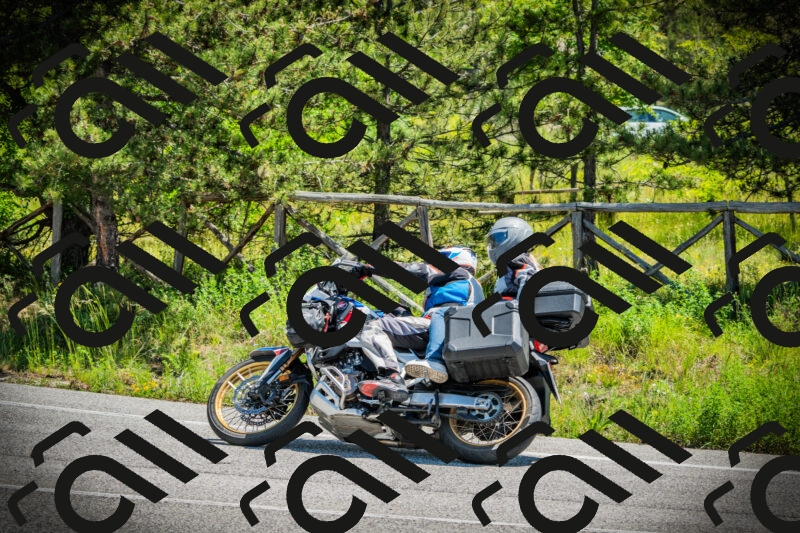 202506021207-DSC04303_c1_