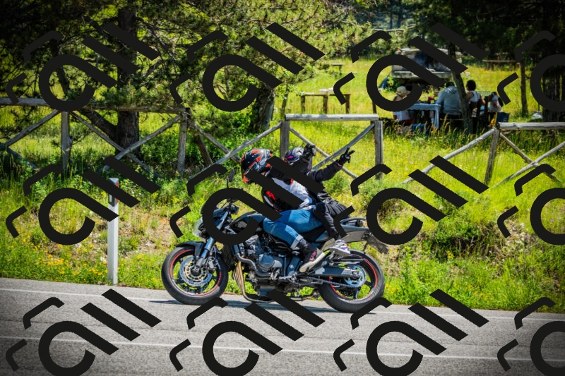 202506021207-DSC04304_c1_