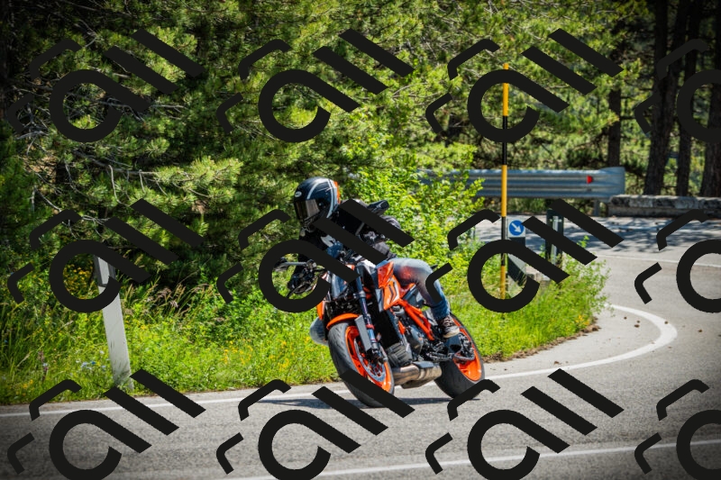 202506021207-DSC04309_c1_