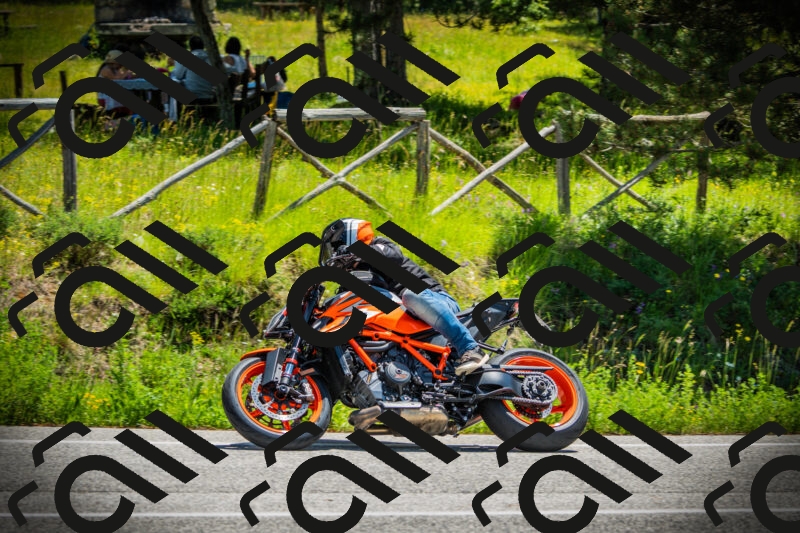 202506021207-DSC04310_c1_