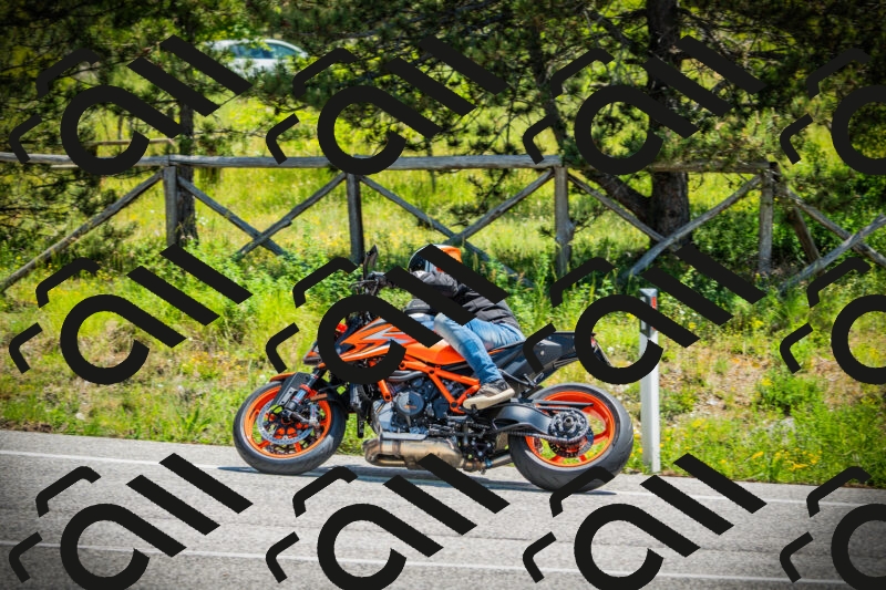 202506021207-DSC04311_c1_