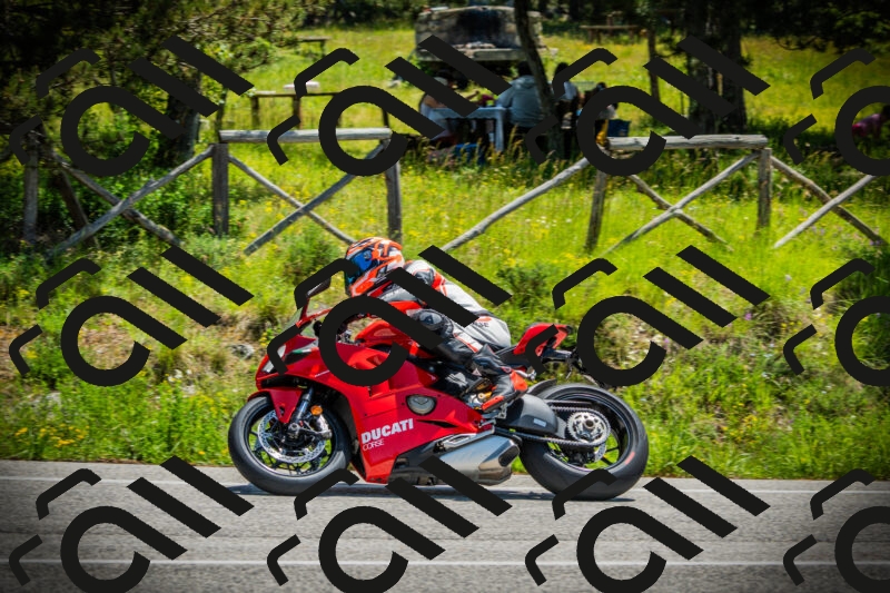 202506021207-DSC04312_c1_