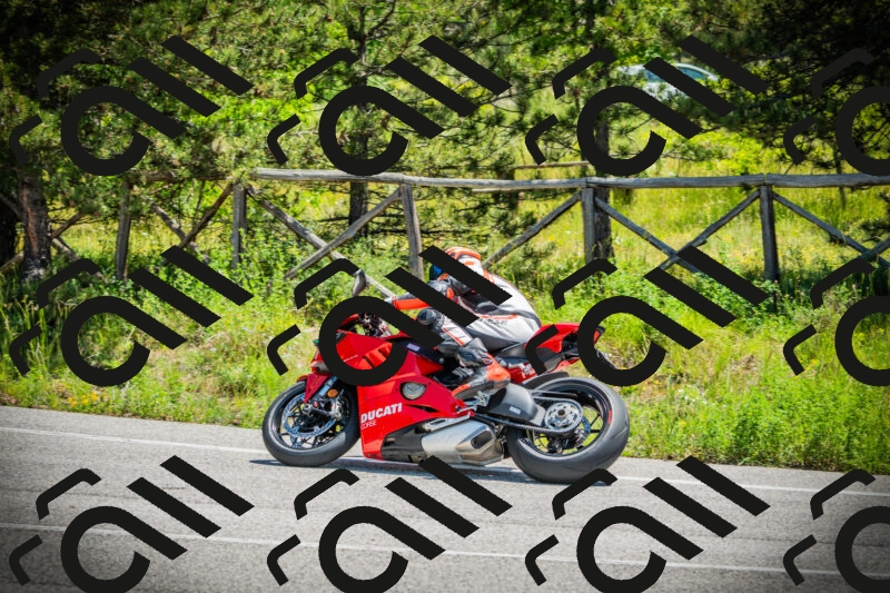 202506021207-DSC04313_c1_