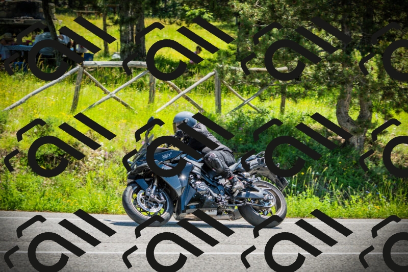 202506021207-DSC04314_c1_