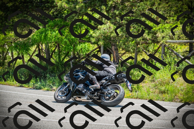 202506021207-DSC04316_c1_