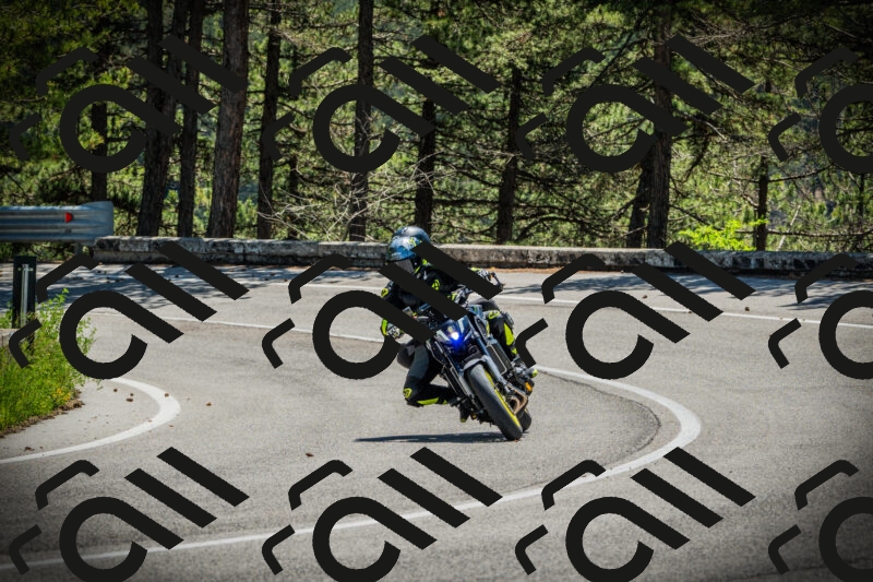 202506021207-DSC04317_c1_