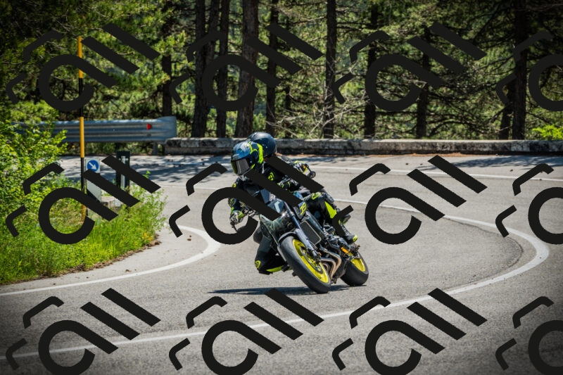 202506021207-DSC04318_c1_