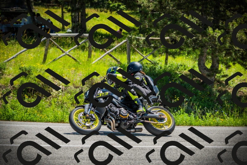 202506021207-DSC04319_c1_