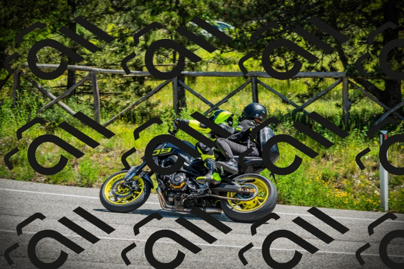 202506021207-DSC04320_c1_