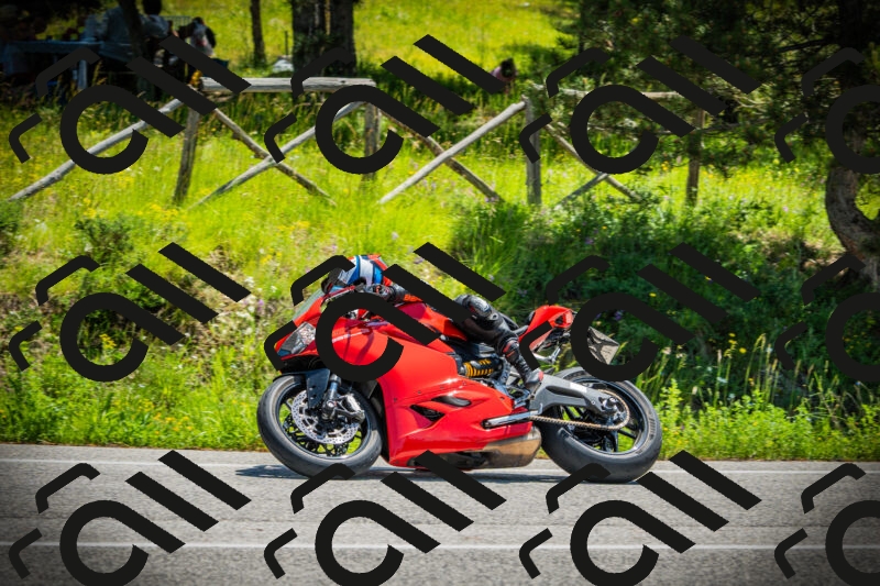 202506021207-DSC04322_c1_